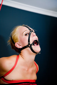 Trainer Style Harness with Ring