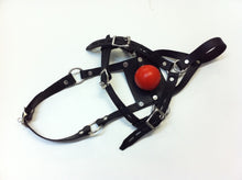 Load image into Gallery viewer, Classic Harness Muzzle - Black / Blue / Red / White