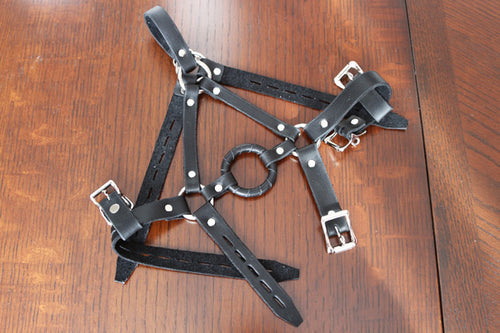 Trainer Style Harness with Ring